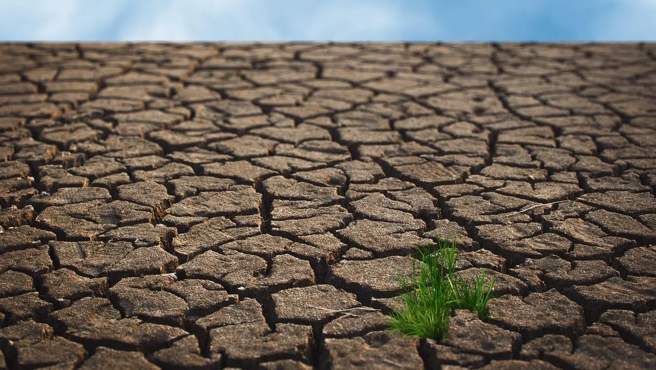 Image cover for blog post.